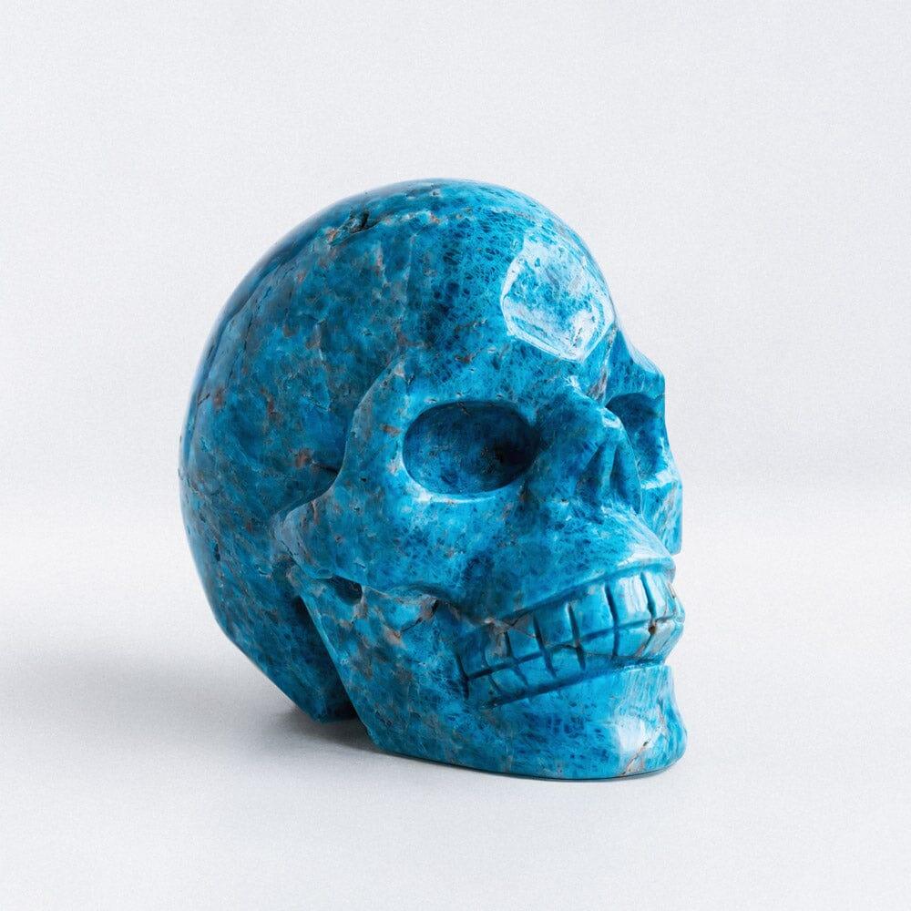 Blue apatite skull - Crystal-ReikiCrystalSale