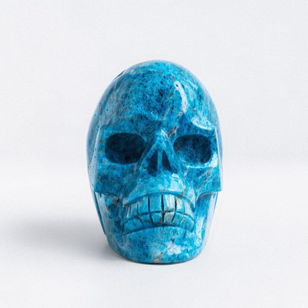 Blue apatite skull - Crystal-ReikiCrystalSale