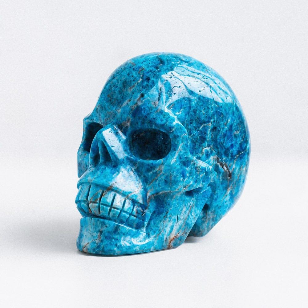 Blue apatite skull - Crystal-ReikiCrystalSale