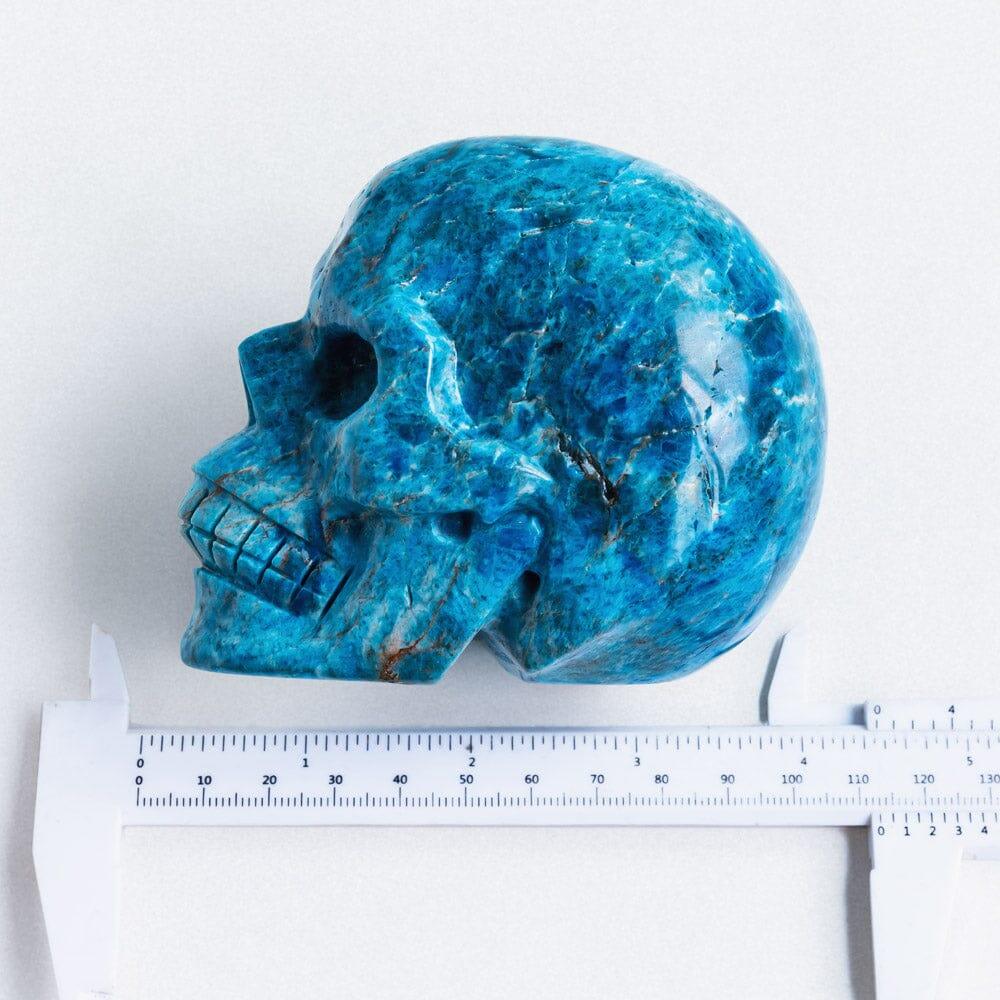 Blue apatite skull - Crystal-ReikiCrystalSale