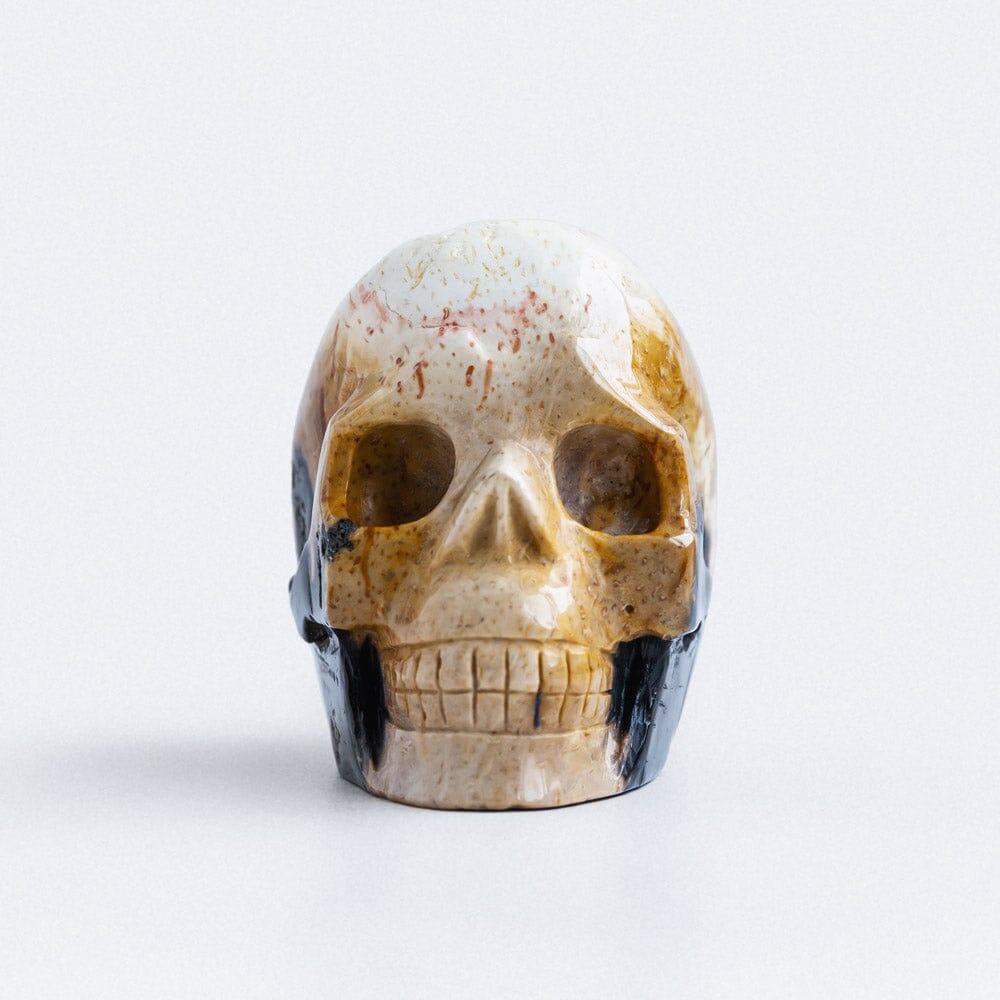 Palm root skull - Crystal-ReikiCrystalSale