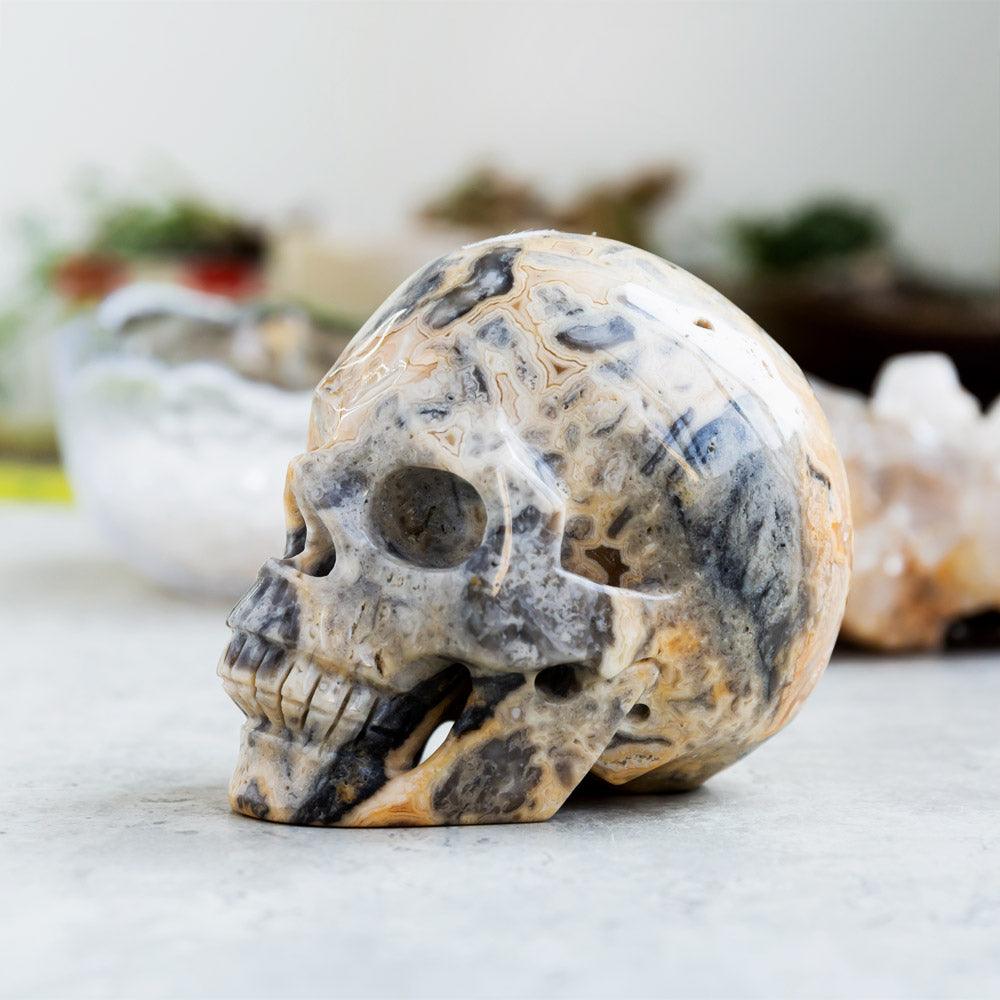 Crazy Agate Skulll - Crystal-ReikiCrystalSale