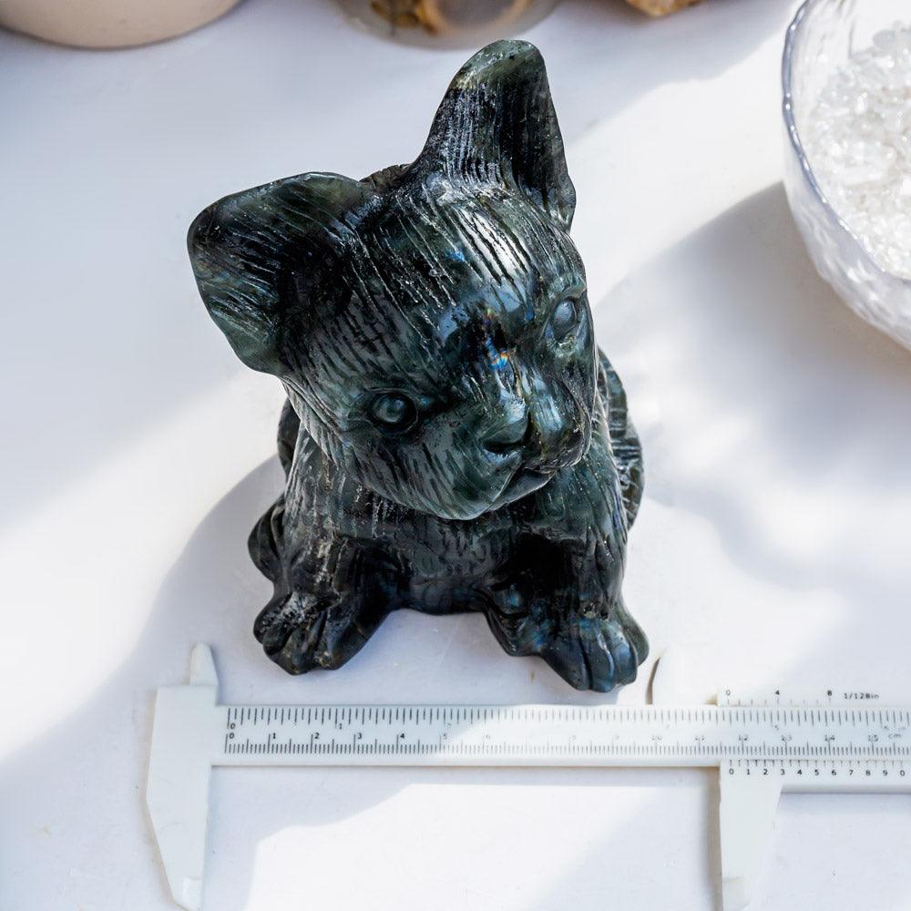 Labradorite dog - Crystal-ReikiCrystalSale