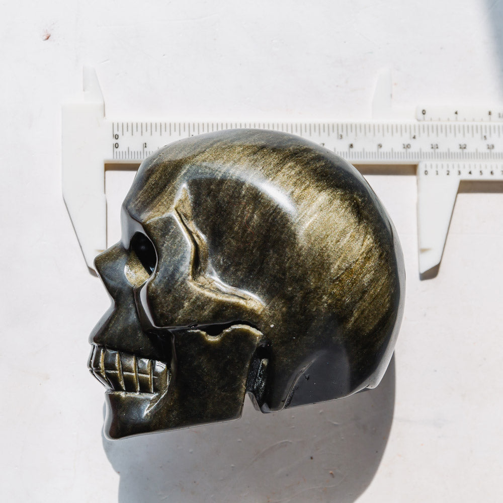 REIKICRYSTAL  Golden Obsidian Skull