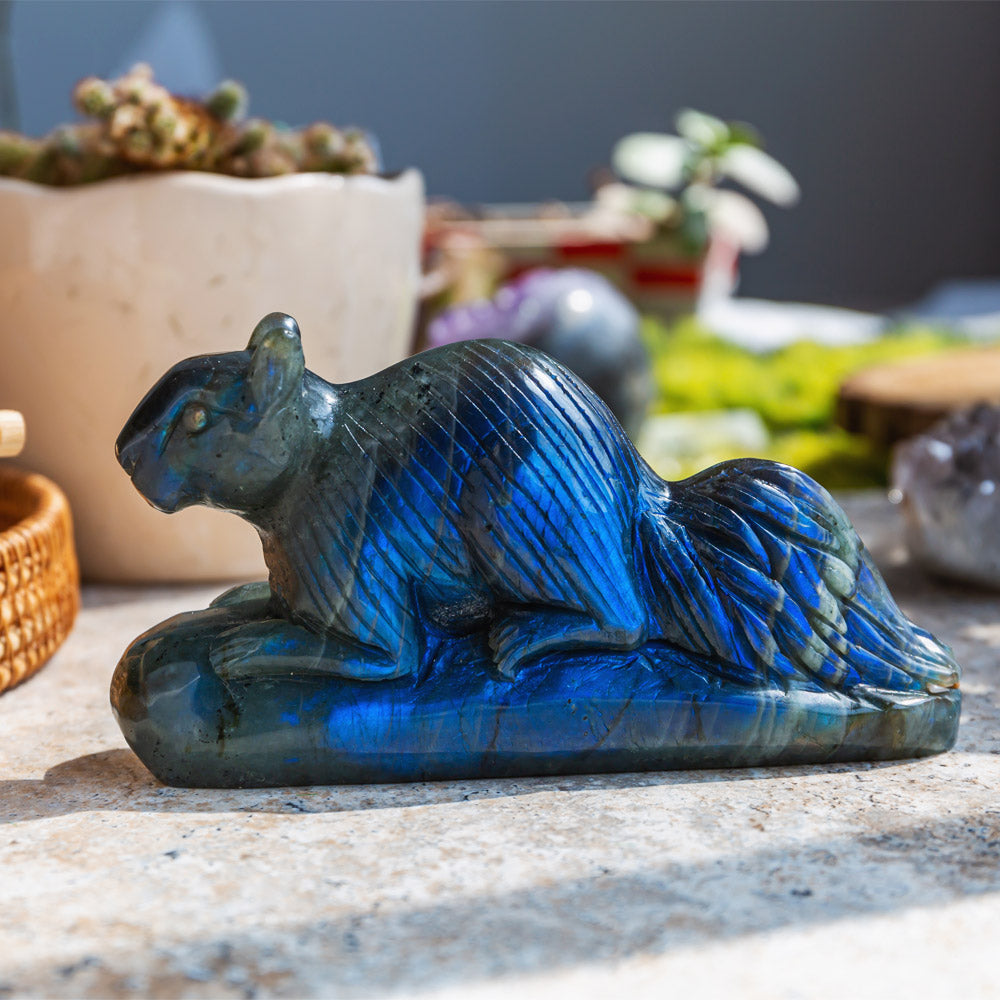 REIKICRYSTAL  Labradorite Squirrel