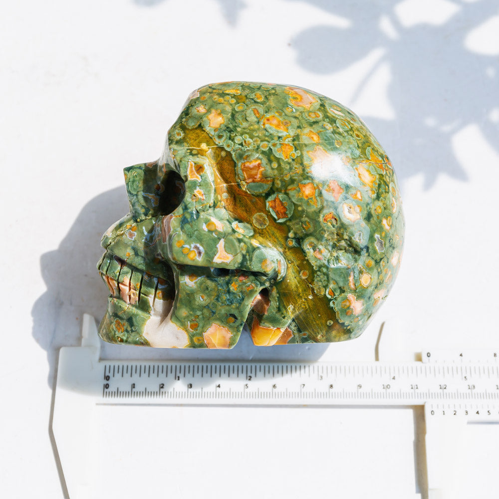 REIKICRYSTAL  Rainforest Jasper Skull